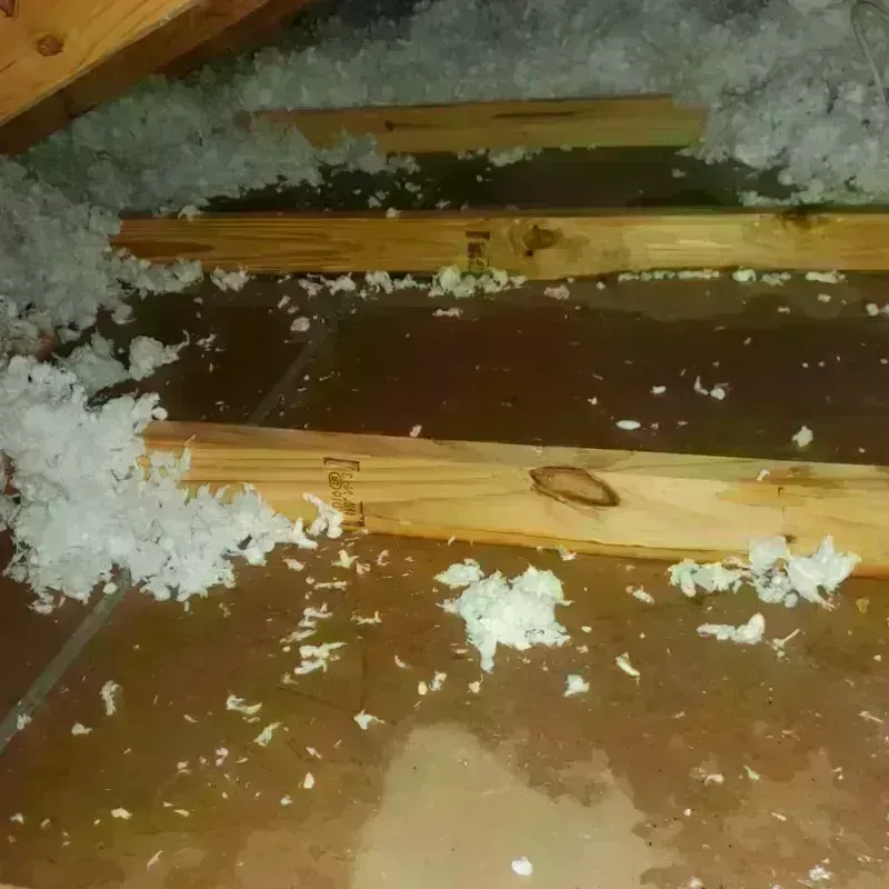 Attic Water Damage in Clinton, NJ