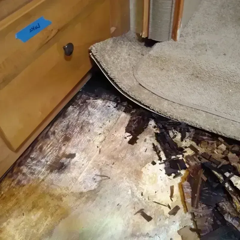 Best Wood Floor Water Damage Service in Clinton, NJ